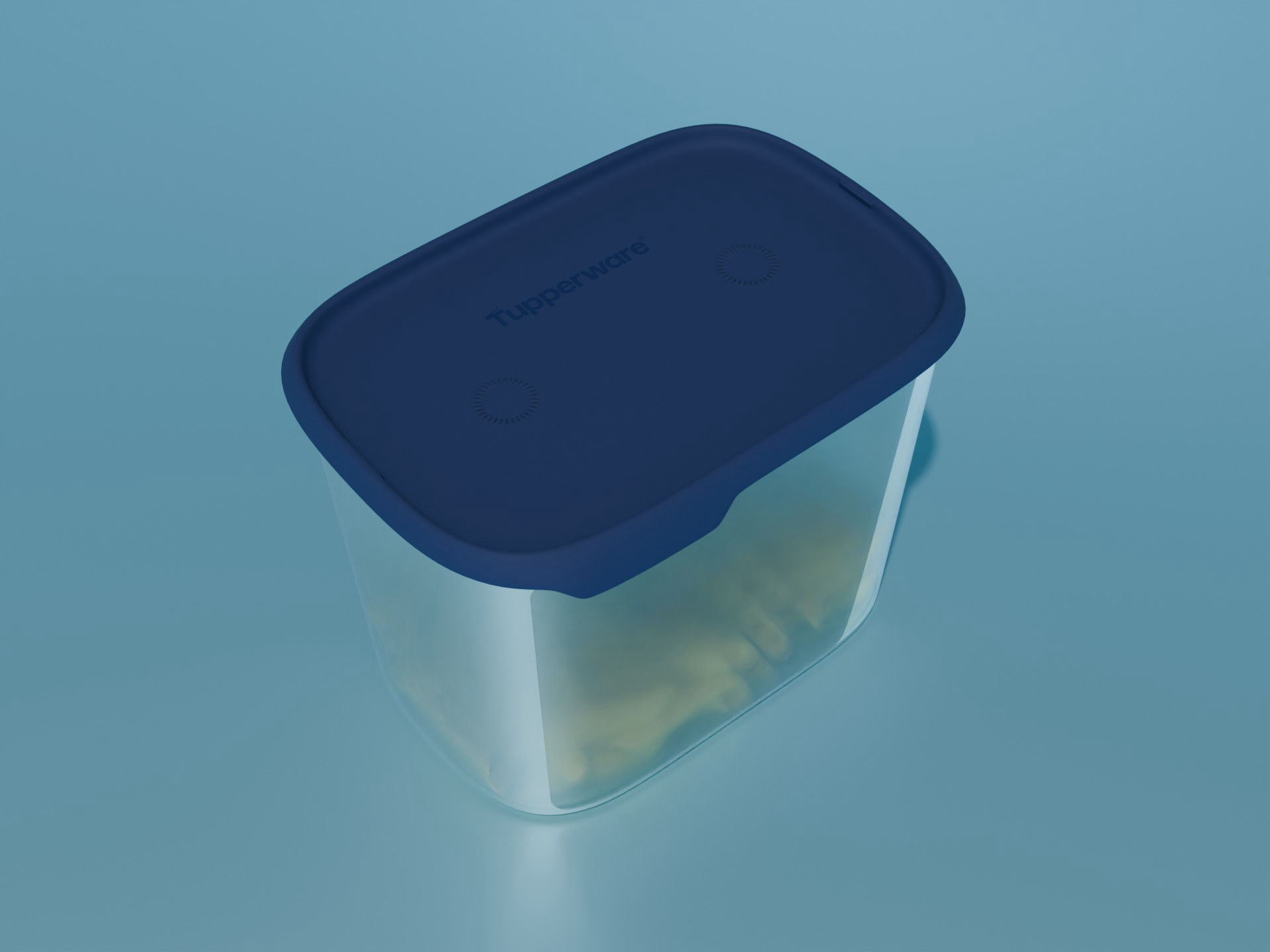 Tupperware fresh box 4.4l 3D model